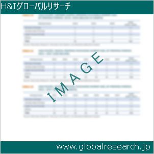 グローバルリサーチ調査レポートのイメージ